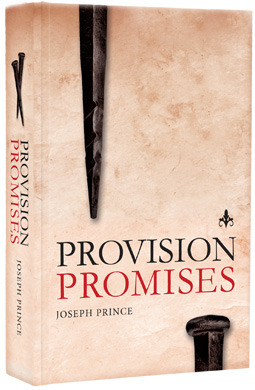 Provision Promises (Hardcover)