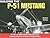 Building the P-51 Mustang by Michael O'Leary