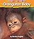 Orangutan Baby (i Love Reading)