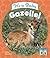 It's a Baby Gazelle! (Baby African Animals)