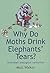 Why Do Moths Drink Elephant...