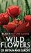 Wild Flowers Of Britain & E...