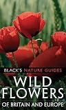 Wild Flowers Of Britain & Europe