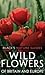 Wild Flowers Of Britain & Europe by Margot Spohn