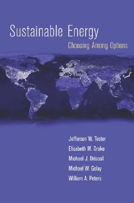 Sustainable Energy: Choosing Among Options (Hardcover)