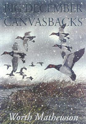 Big December Canvasbacks, Revised (Paperback)