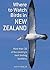 Where to Watch Birds in New Zealand