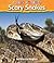 Scary Snakes (I Love Reading (Hardcover))