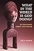 What in the World Is God Doing?: Re-Imaging Spirit and Power
