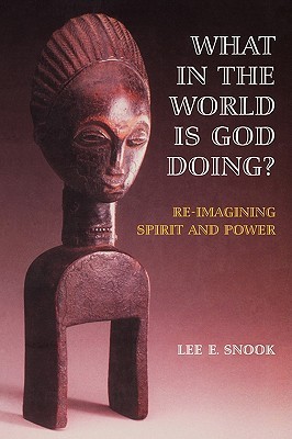 What in the World Is God Doing?: Re-Imaging Spirit and Power (Paperback)