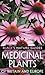 Medicinal Plants Of Britain & Europe