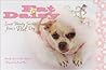 Fat Daisy: Inner Beauty Secrets from a Real Dog Fat Daisy: Inner Beauty Secrets from a Real Dog