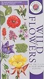 Wild Flowers of Britain and Northern Europe by D.A. Sutton