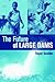 The Future of Large Dams: Dealing with Social, Environmental, Institutional and Political Costs