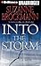 Into the Storm (Troubleshoo...