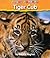 Tiger Cub (I Love Reading (Hardcover))