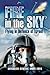 Fire in the Sky: Flying in Defence of Israel