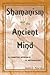 Shamanism and the Ancient Mind: A Cognitive Approach to Archaeology (Archaeology of Religion)