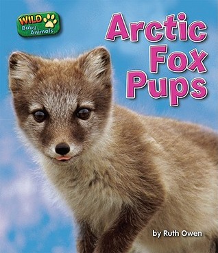 Arctic Fox Pups (Wild Baby Animals)