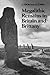 Megalithic Remains in Britain and Brittany