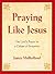 Praying Like Jesus by James Mulholland Praying Like Jesus by James Mulholland