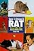 The Guide to Owning a Rat