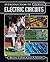 Introduction to Electric Circuits