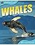 Animal Lives: Whales (Qeb Animal Lives)