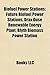 Biofuel Power Stations: Future Biofuel Power Stations, Drax Ouse Renewable Energy Plant, Blyth Biomass Power Station