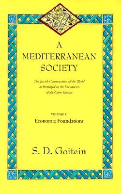 A Mediterranean Society: The Jewish Communities of the Arab World as Portrayed in the Documents of the Cairo Geniza, Economic Foundations (Near Eastern Center, UCLA) (Volume 6)
