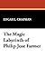 The Magic Labyrinth of Philip José Farmer by Edgar L. Chapman