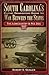 South Carolina's Military Organizations During the War Between the States, Volume I: The Lowcountry & Pee Dee