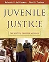 Juvenile Justice:...