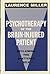 Psychotherapy of the Brain-Injured Patient: Reclaiming the Shattered Self (Norton Professional Book)