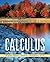 Calculus: Multivariable