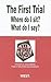 The First Trial (Where Do I Sit? What Do I Say?) in a Nutshell by Steven Goldberg