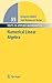Numerical Linear Algebra by Grégoire Allaire