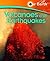 Volcanoes and Earthquakes
