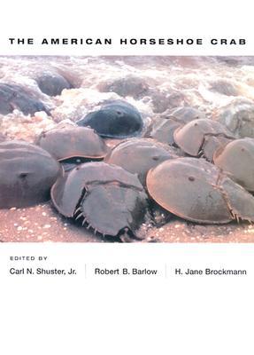 The American Horseshoe Crab (Hardcover)