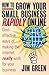 How to grow your small business rapidly online: Cost-effective ways of making the internet really work for your business