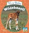 It's a Baby Wildebeest! (Baby African Animals) It's a Baby Wildebeest! (Baby African Animals)