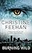 Burning Wild by Christine Feehan