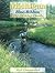 Michigan Blue-Ribbon Fly Fishing Guide