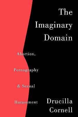 The Imaginary Domain (Paperback)