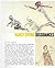 Nancy Spero, Dissidances