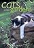 Cats in Their Gardens