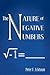 The Nature of Negative Numbers
