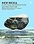 New Media: A Critical Intro...