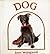 DOG (Baby Animal Board Books)