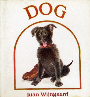 DOG (Baby Animal Board Books)
